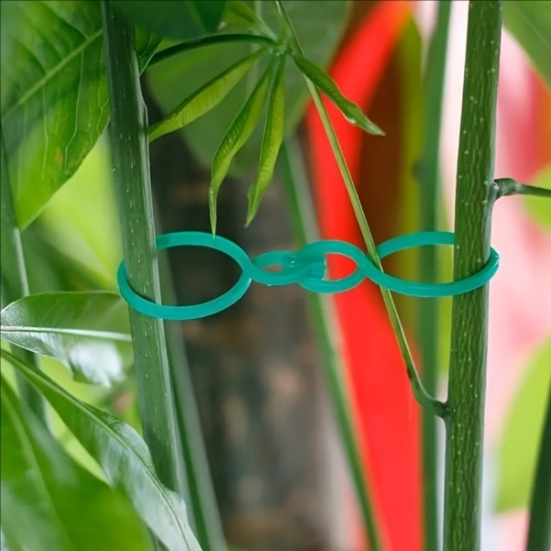 125Pcs Garden Plant Support Ki - Plant Parent Kit recension och pris