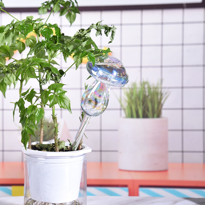 1/2PCS Glass Straw Automatic P - Plant Parent Kit recension och pris