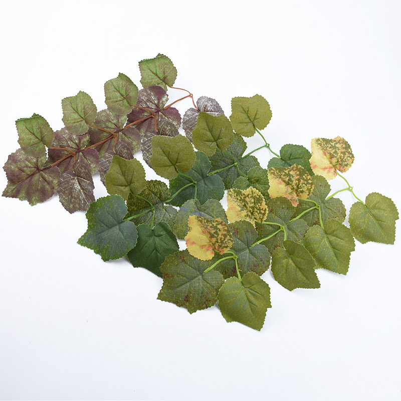 10PCS Silk Maple Leaf Diy Wedd - Plant Parent Gifts recension och pris