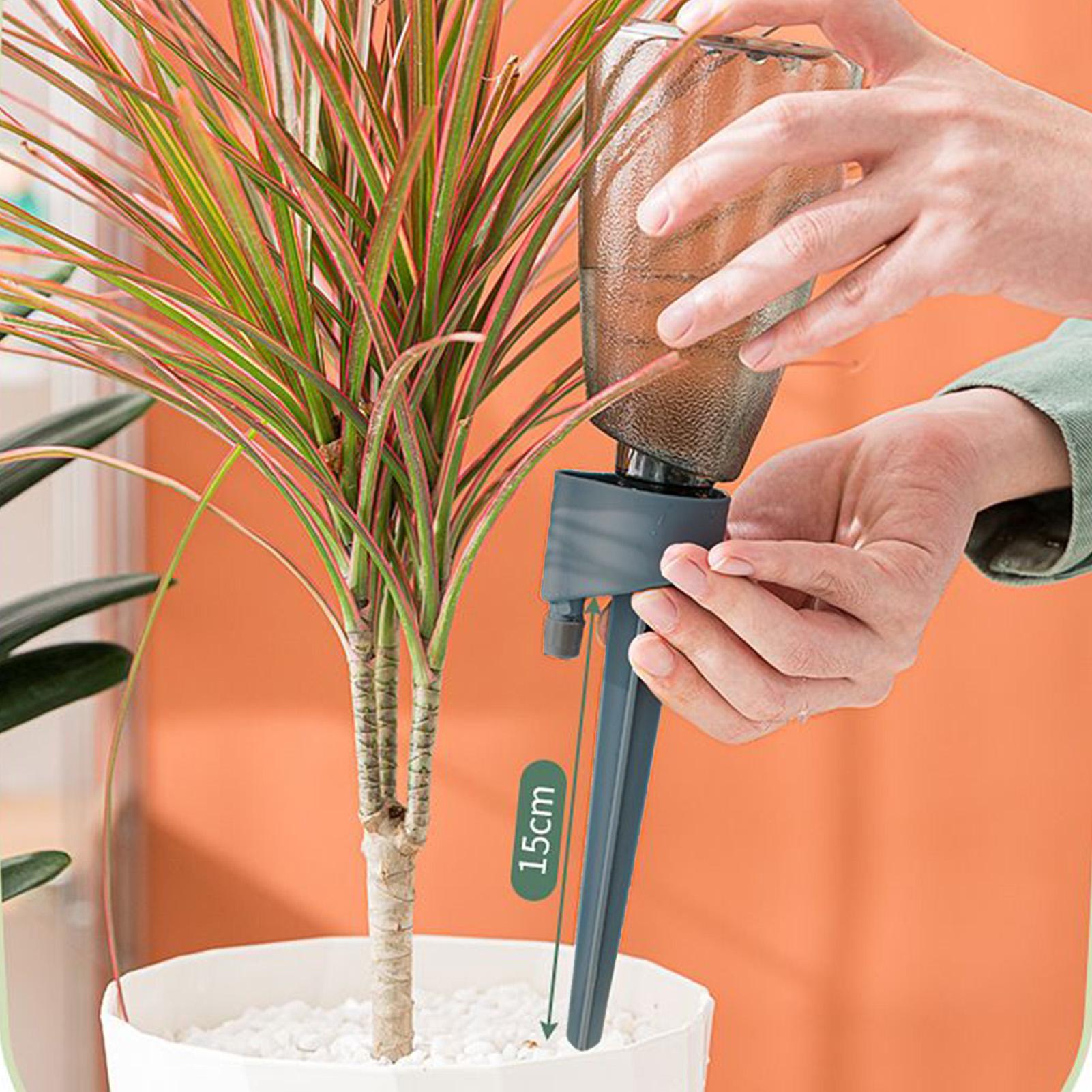 6pcs Automatic Waterer Househo - Plant Parent Kit recension och pris